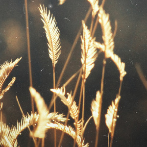 舒淇港片大全免费
