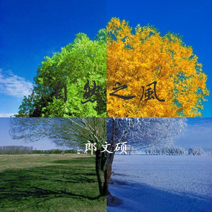 舒淇港片大全免费
