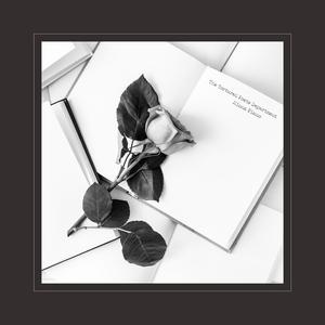 舒淇港片大全免费
