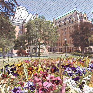 舒淇港片大全免费
